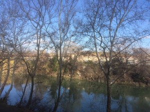 lungotevere