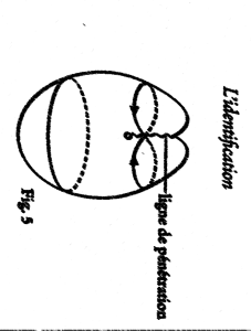 identificazione xix 5